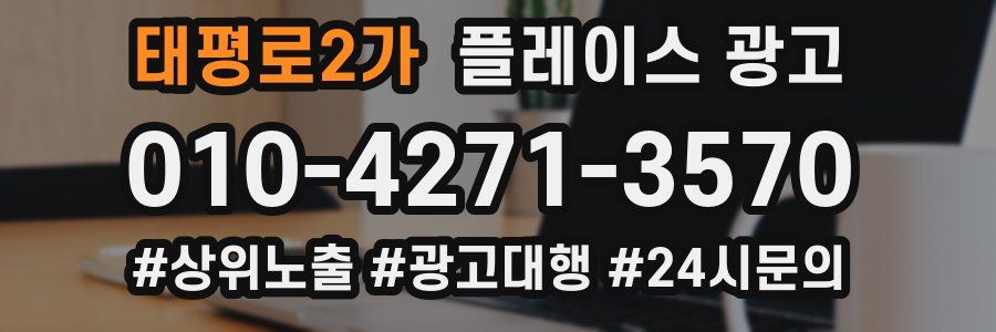 태평로2가 플레이스 광고