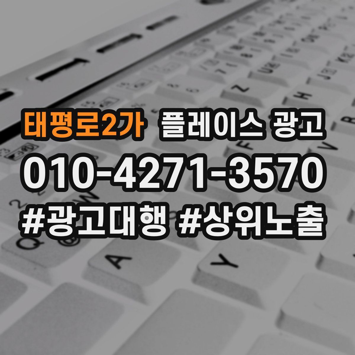 태평로2가 플레이스 광고