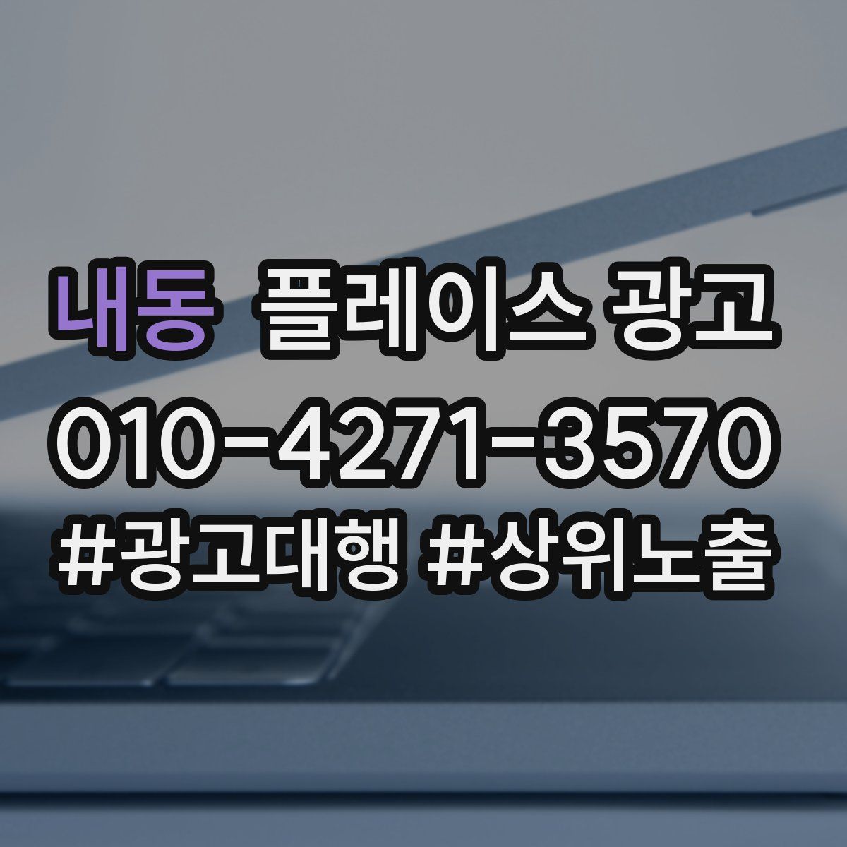 내동 플레이스 광고