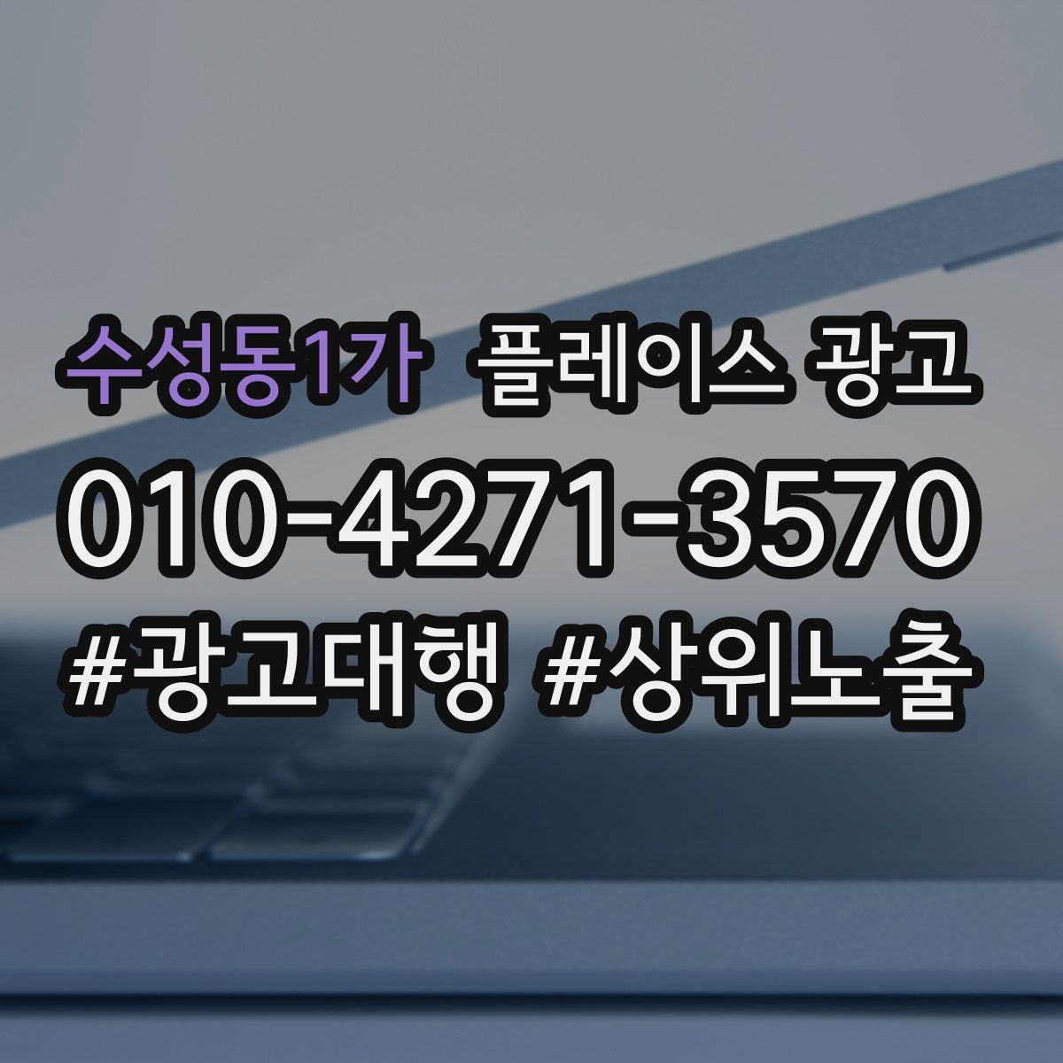 수성동1가 플레이스 광고