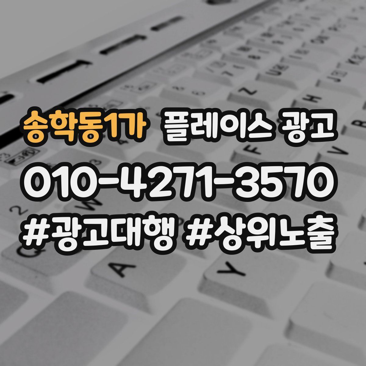 송학동1가 플레이스 광고