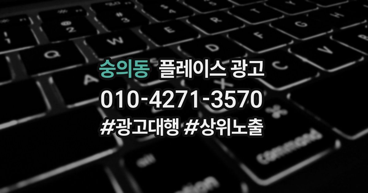 숭의동 플레이스 광고