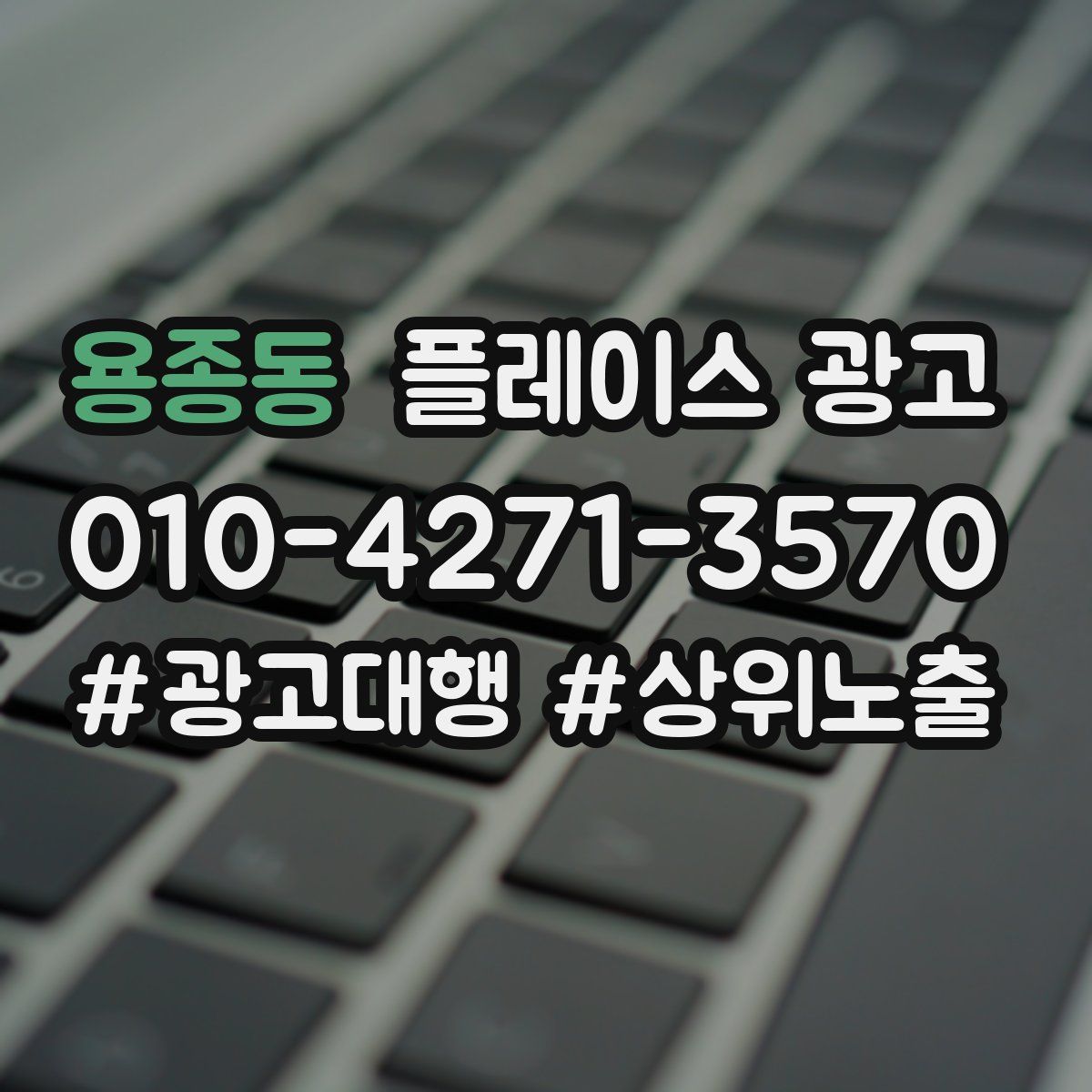 용종동 플레이스 광고