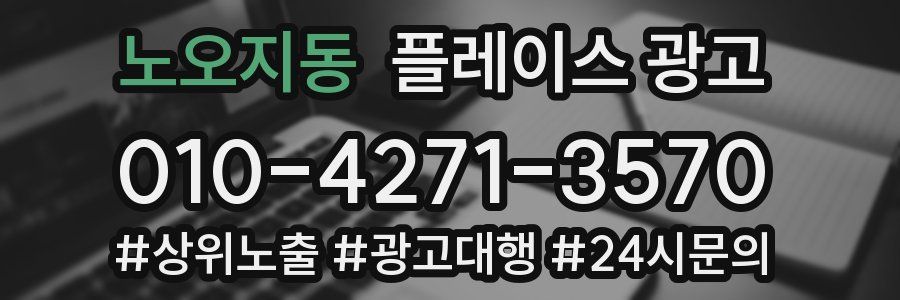 노오지동 플레이스 광고