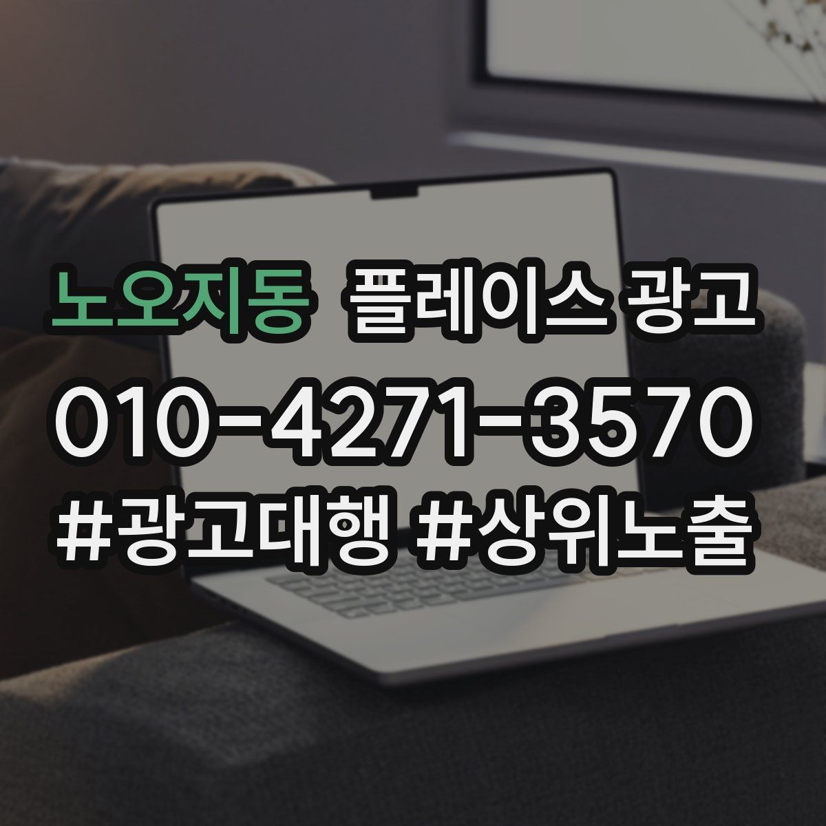 노오지동 플레이스 광고