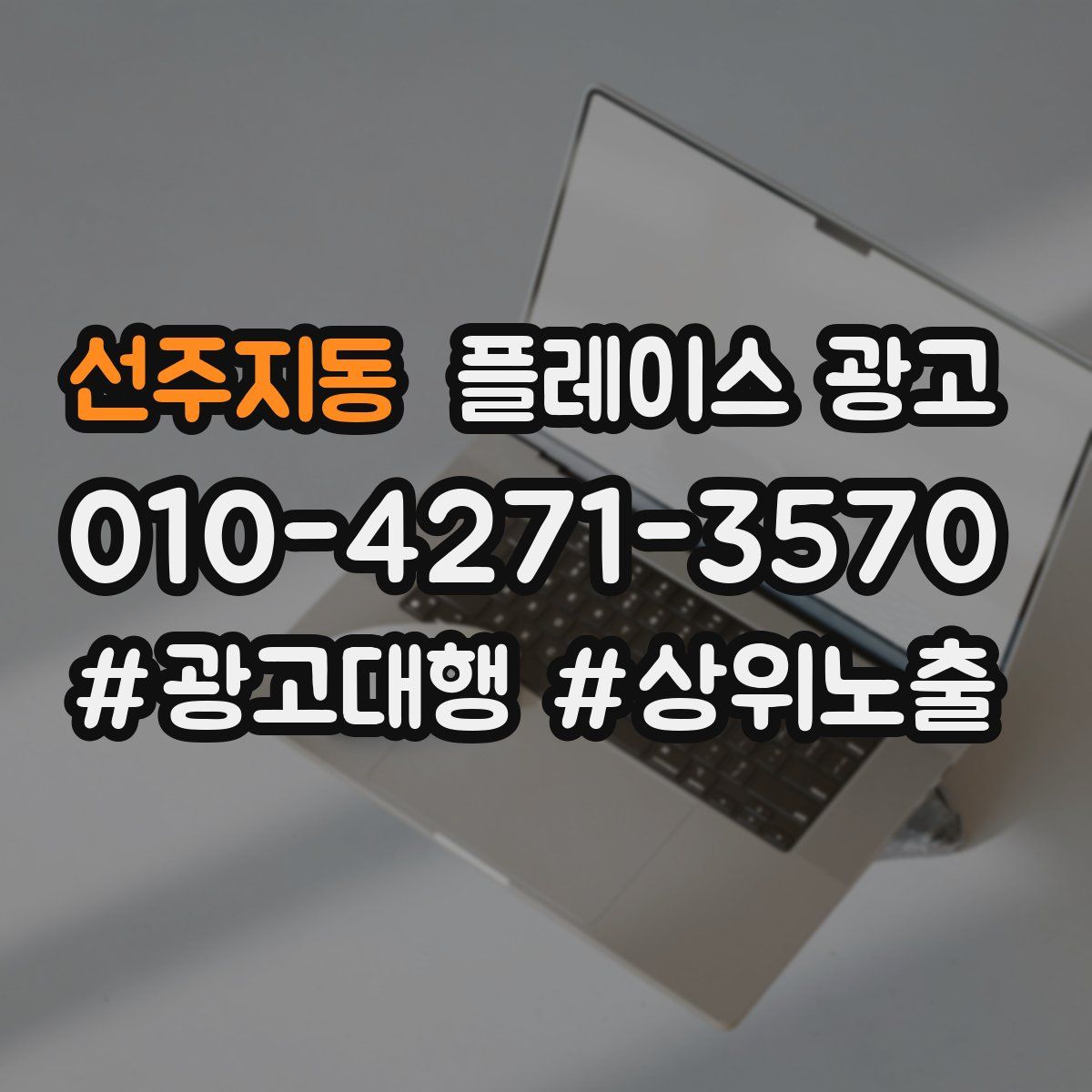 선주지동 플레이스 광고