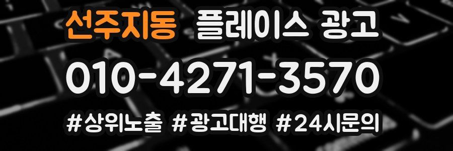 선주지동 플레이스 광고