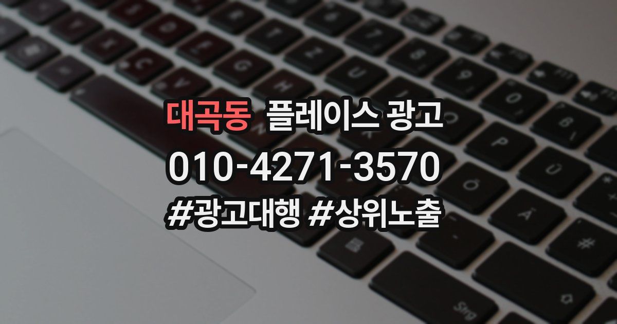 대곡동 플레이스 광고