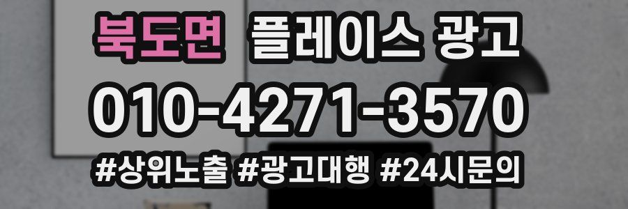 북도면 플레이스 광고