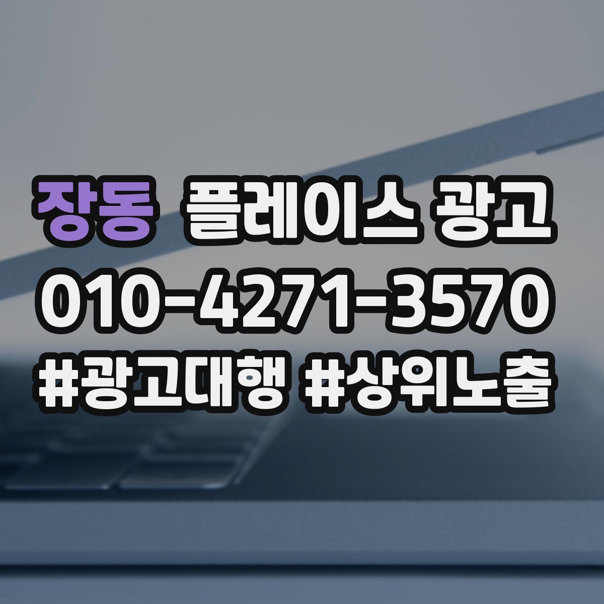 장동 플레이스 광고