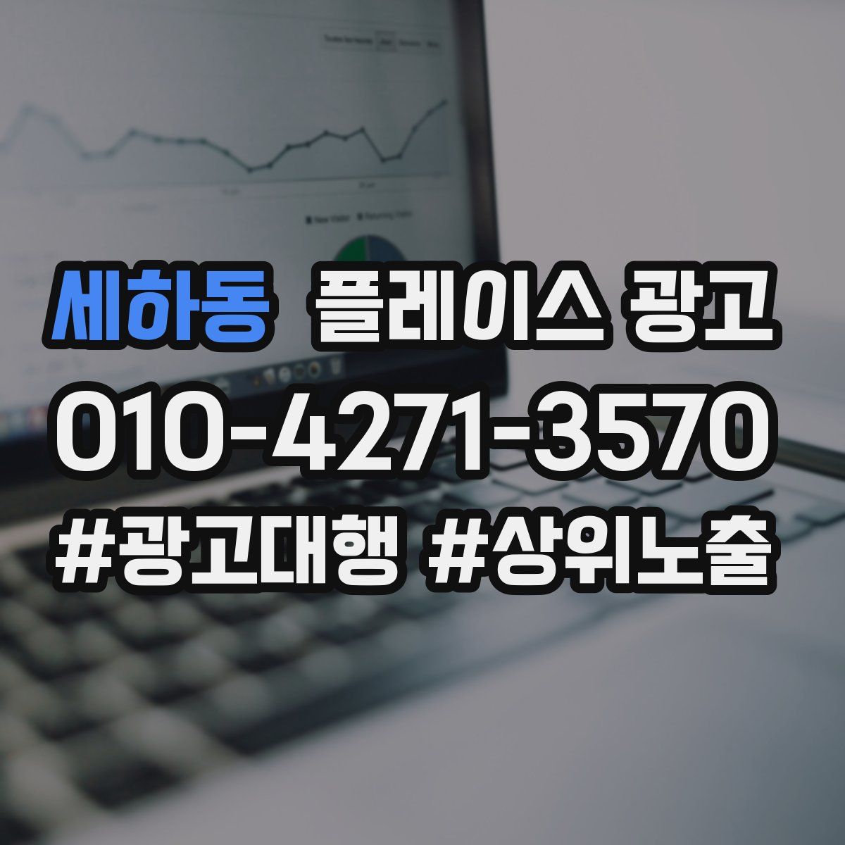 세하동 플레이스 광고