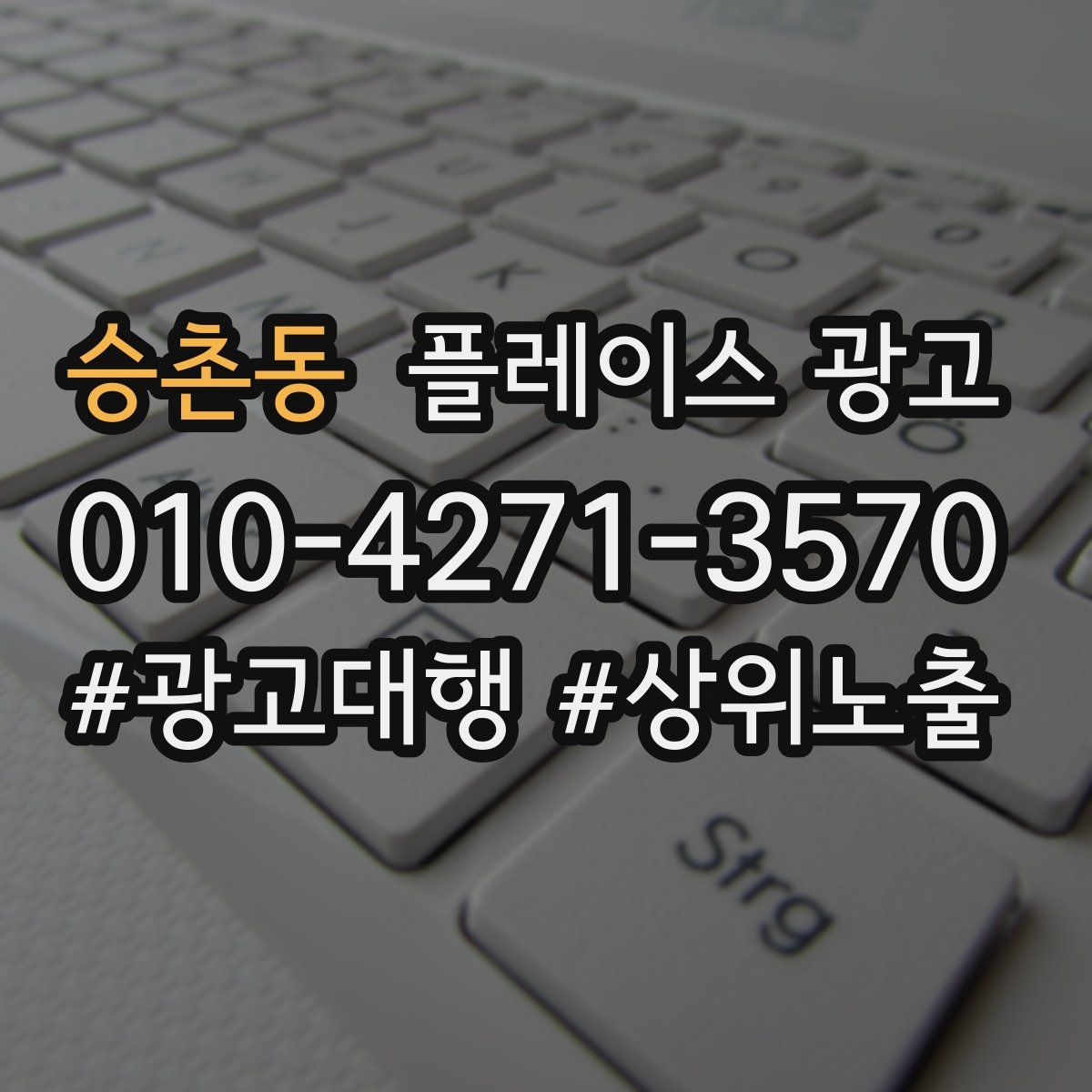 승촌동 플레이스 광고