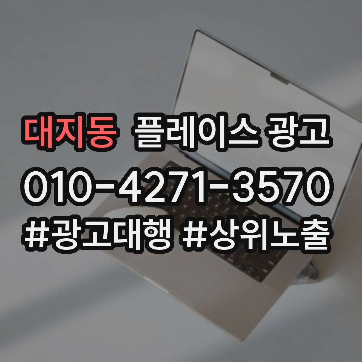 대지동 플레이스 광고