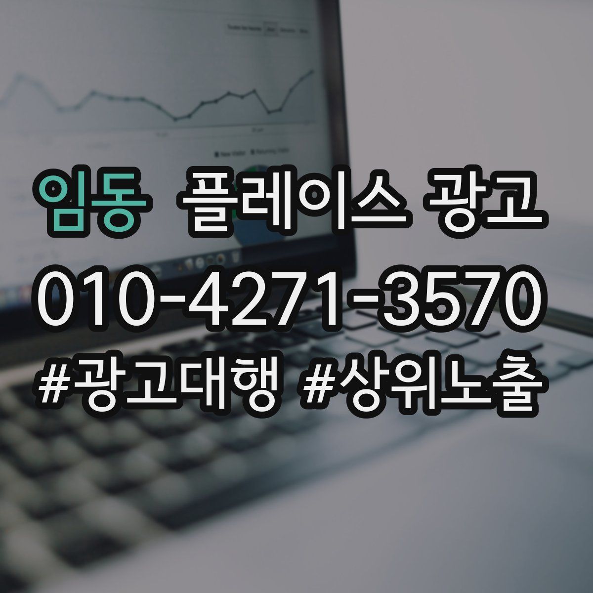 임동 플레이스 광고