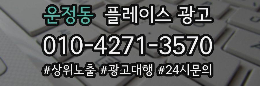 운정동 플레이스 광고