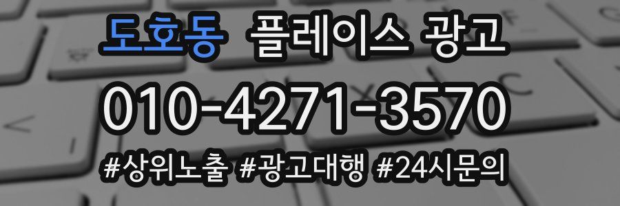 도호동 플레이스 광고