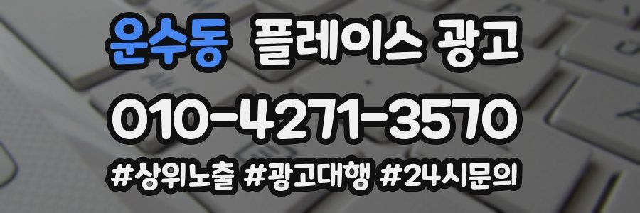 운수동 플레이스 광고