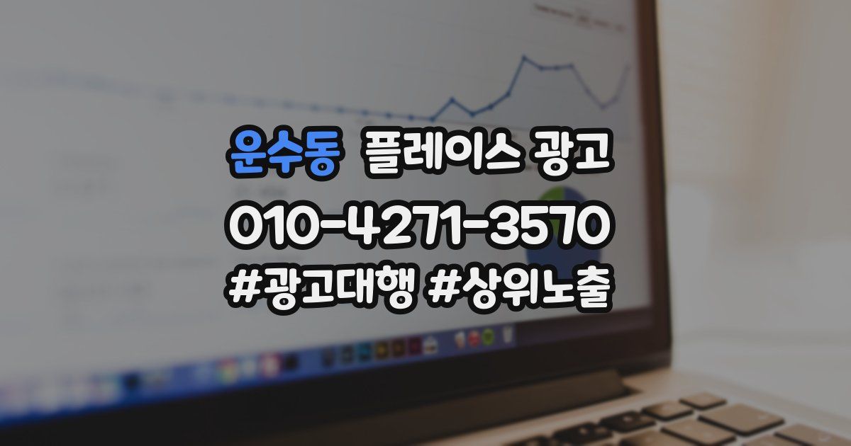 운수동 플레이스 광고