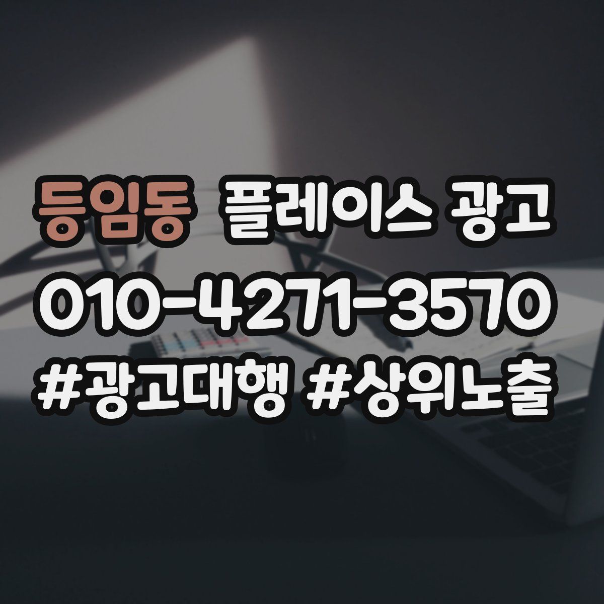 등임동 플레이스 광고