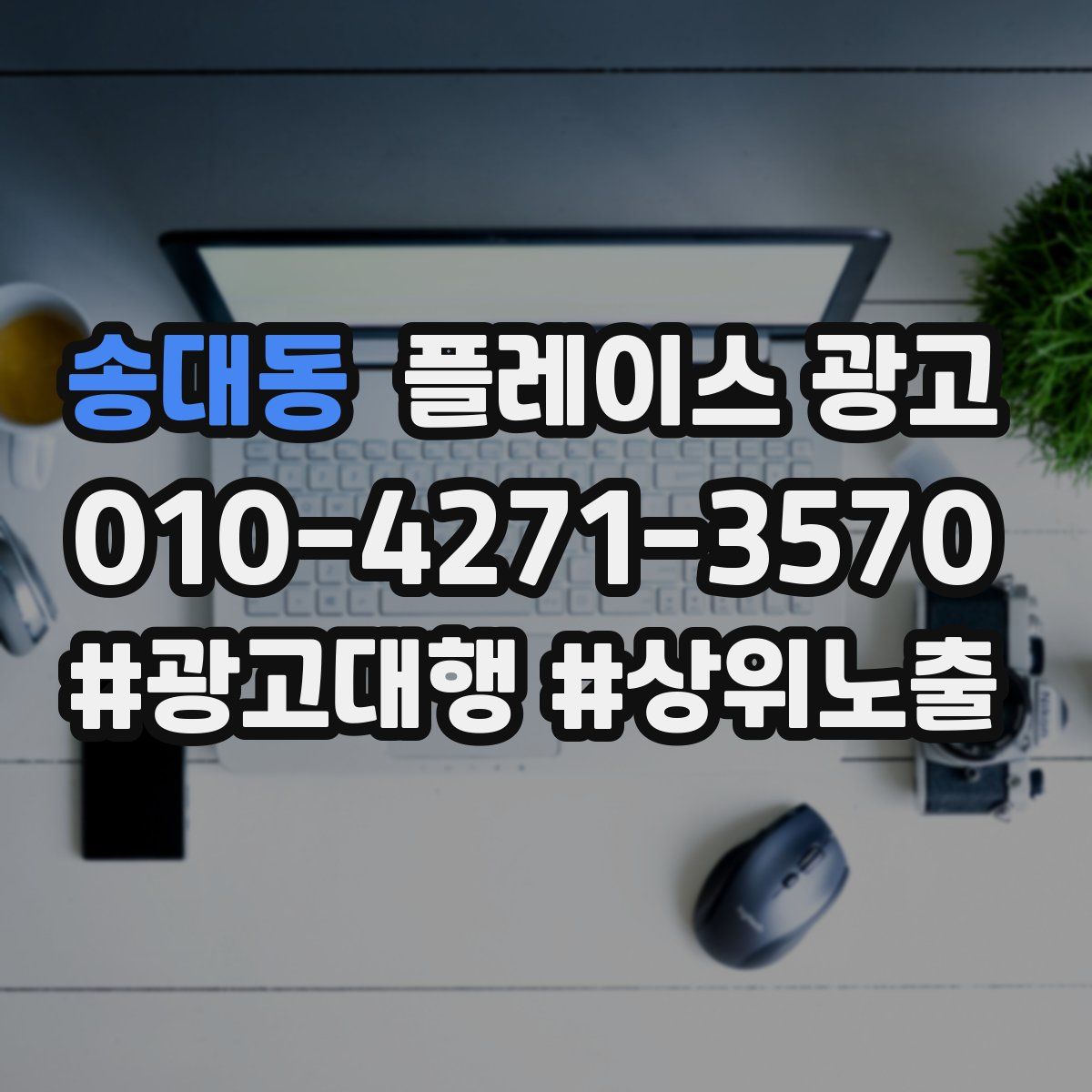 송대동 플레이스 광고