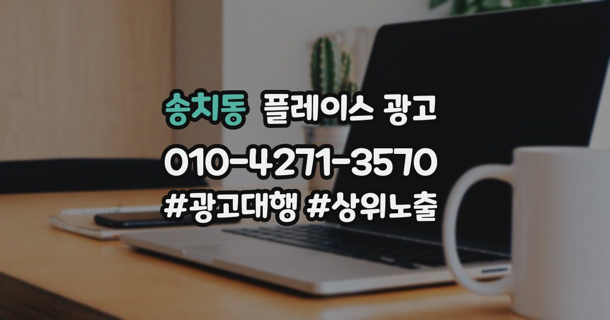 송치동 플레이스 광고