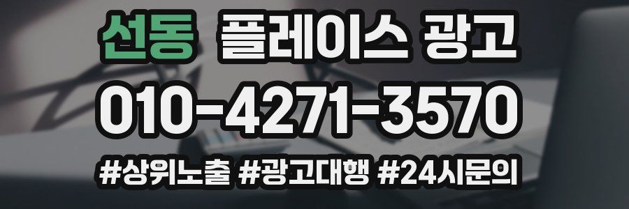 선동 플레이스 광고