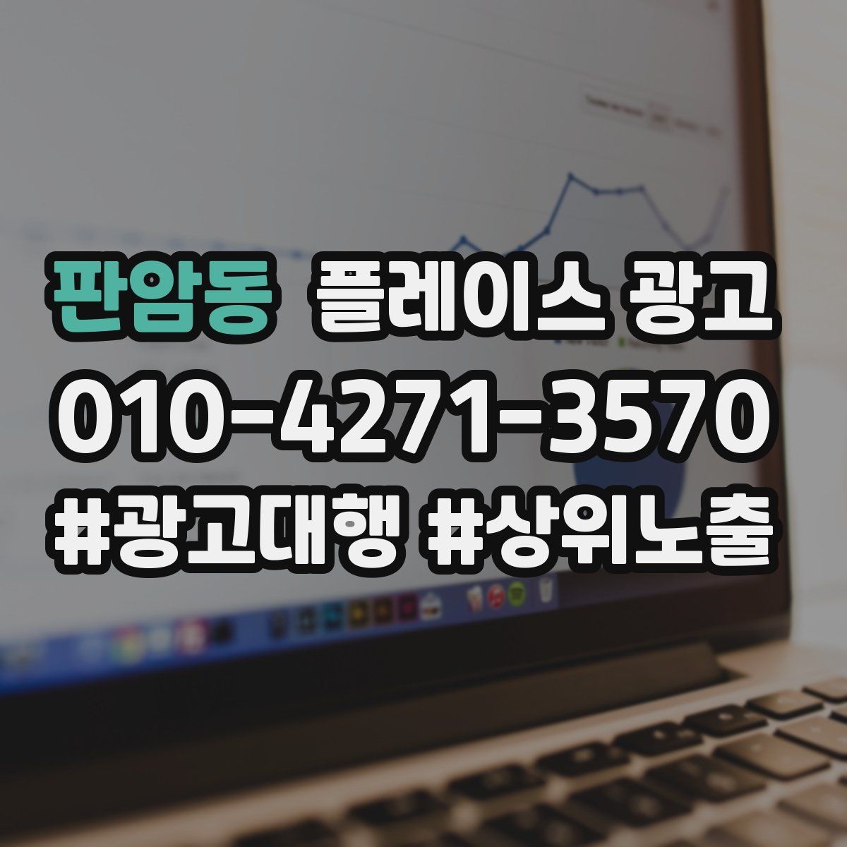 판암동 플레이스 광고