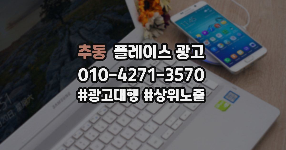 추동 플레이스 광고