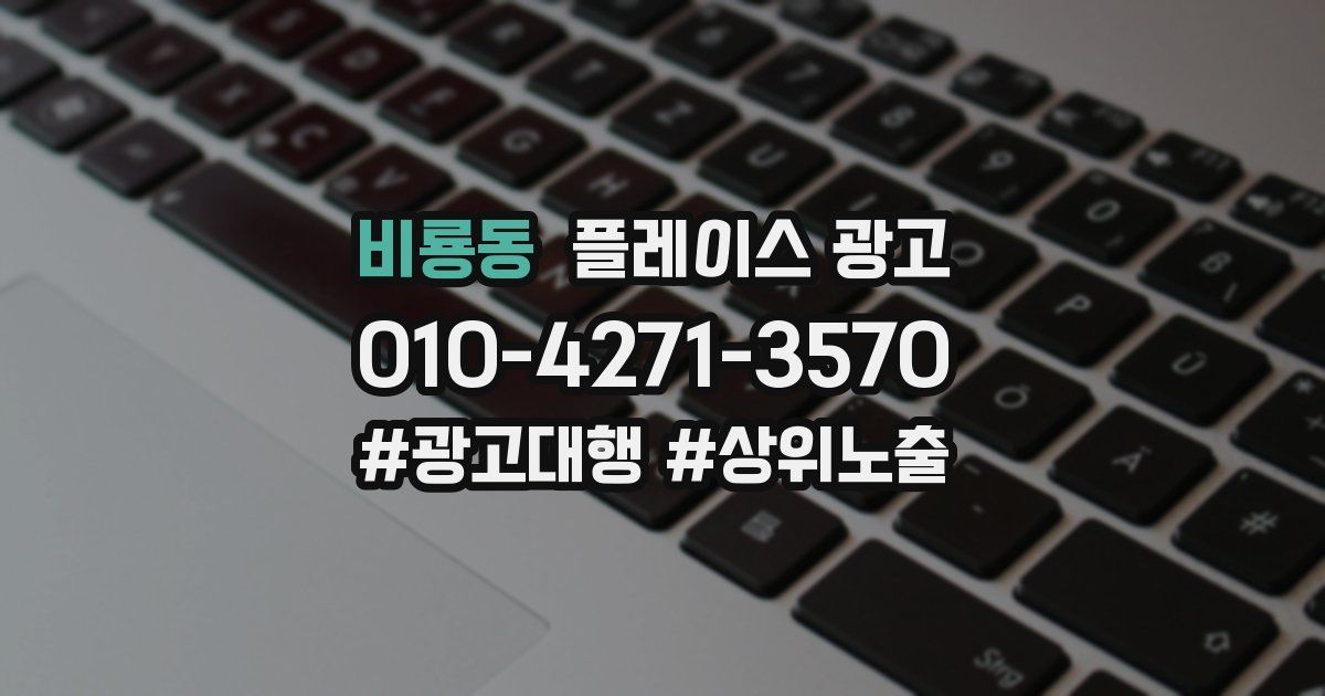 비룡동 플레이스 광고