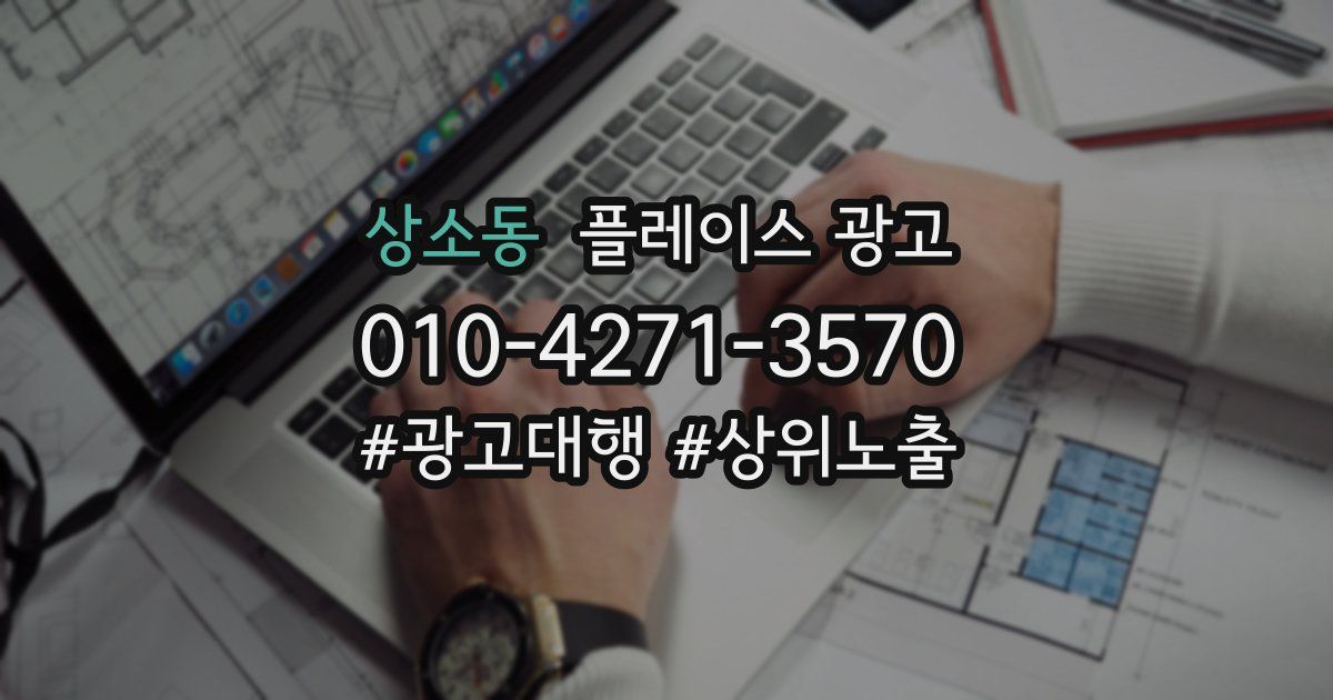 상소동 플레이스 광고