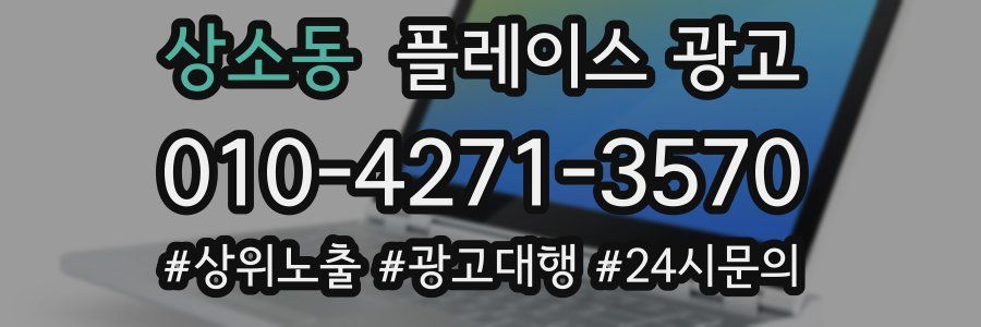 상소동 플레이스 광고