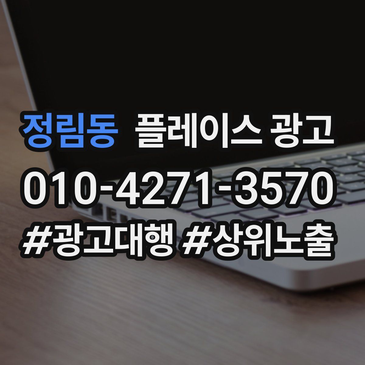 정림동 플레이스 광고