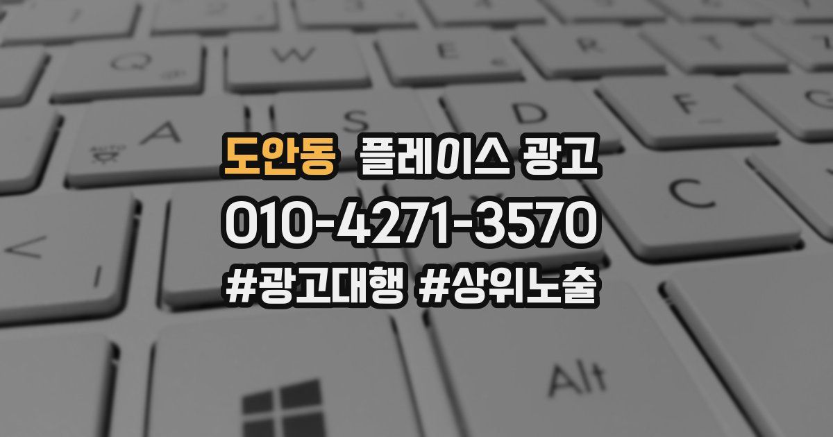 도안동 플레이스 광고