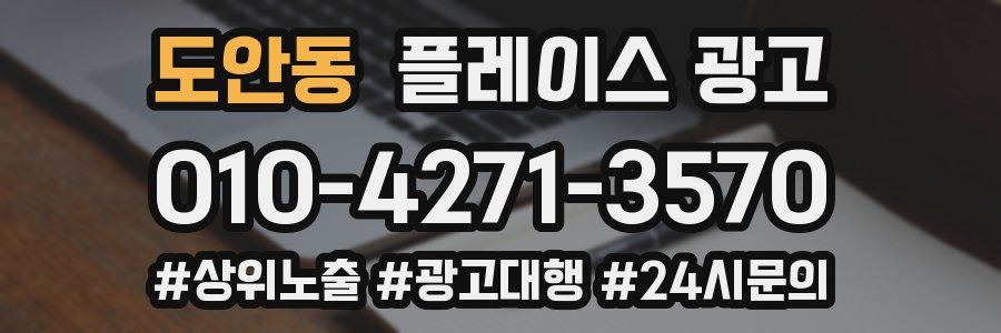 도안동 플레이스 광고