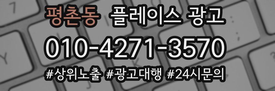 평촌동 플레이스 광고
