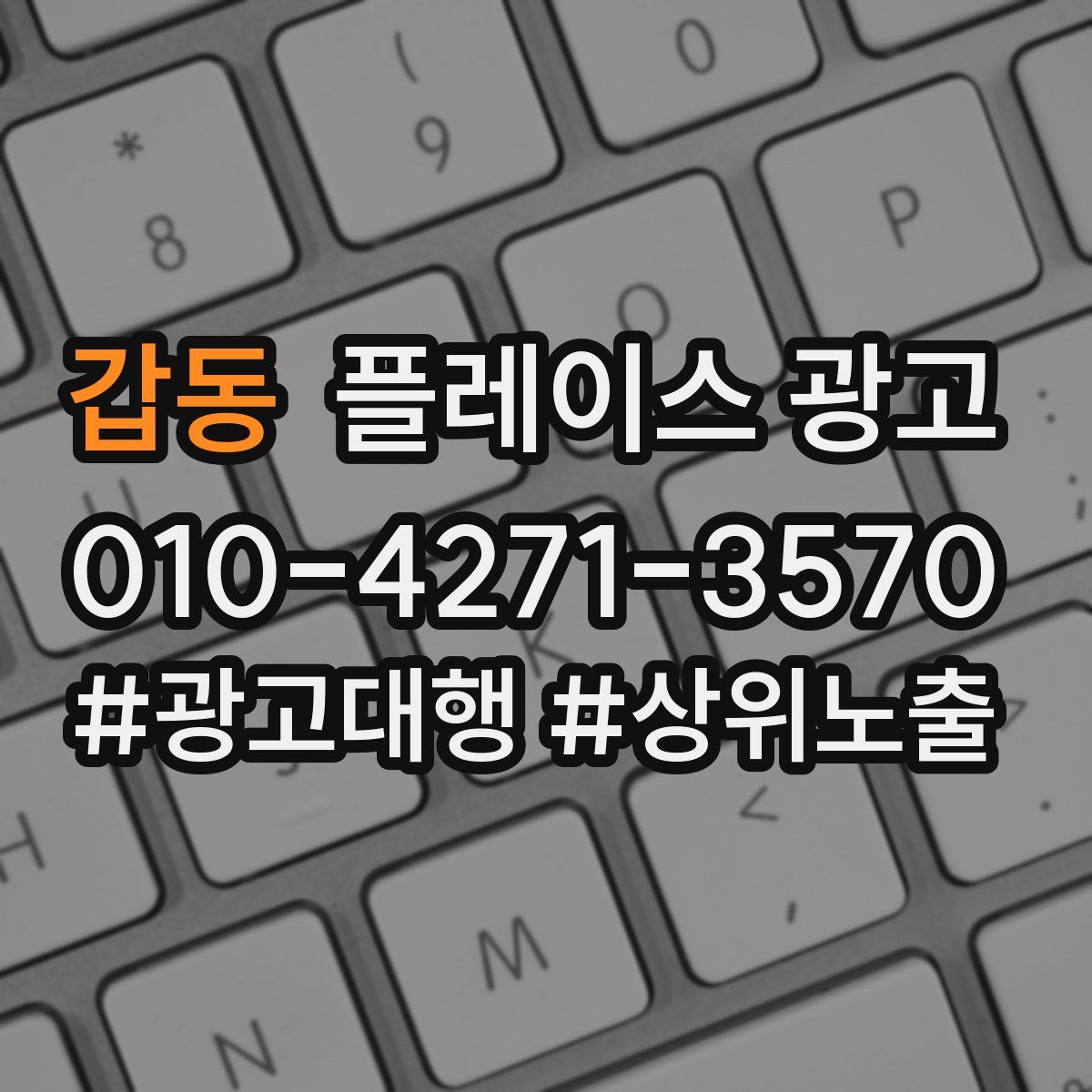 갑동 플레이스 광고