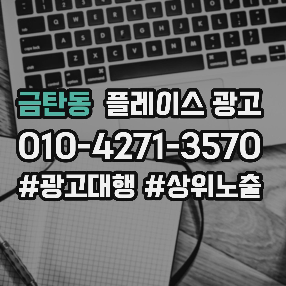 금탄동 플레이스 광고