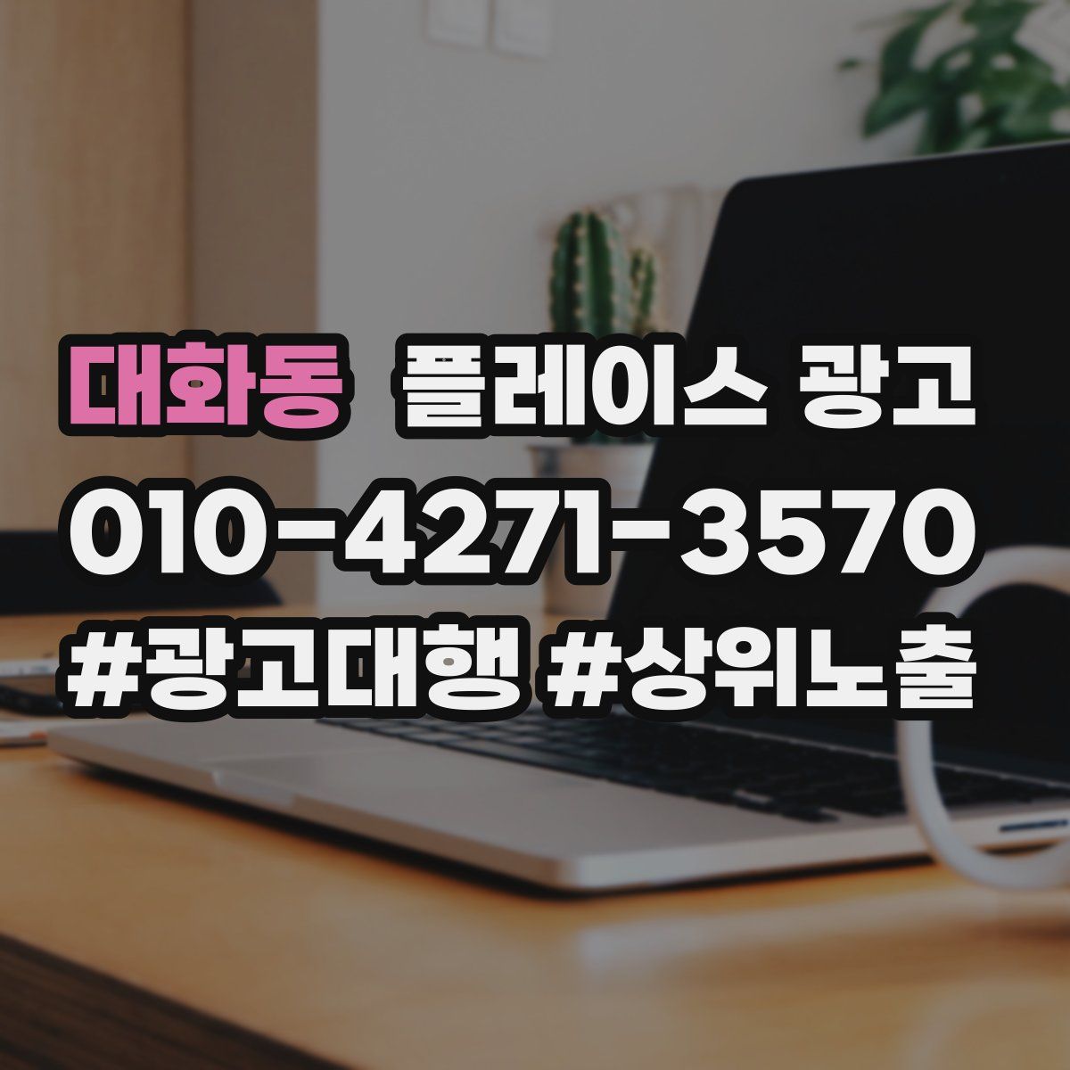 대화동 플레이스 광고