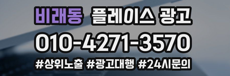 비래동 플레이스 광고