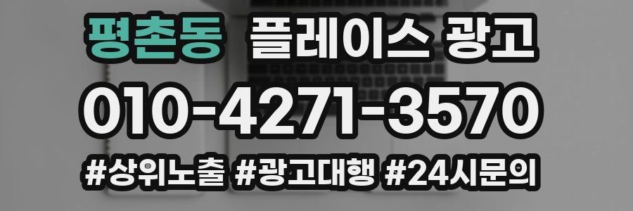 평촌동 플레이스 광고
