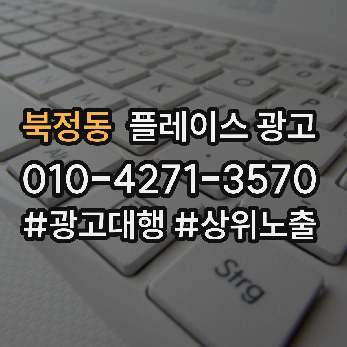 북정동 플레이스 광고