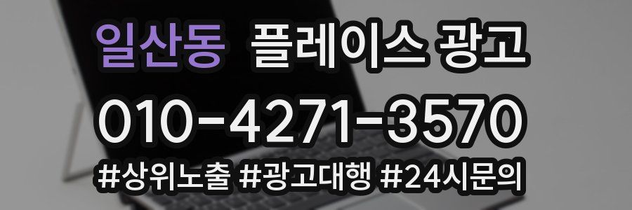 일산동 플레이스 광고