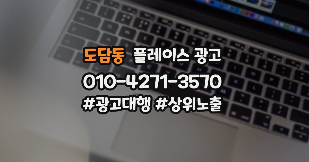 도담동 플레이스 광고