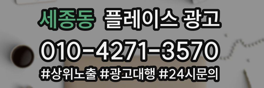세종동 플레이스 광고