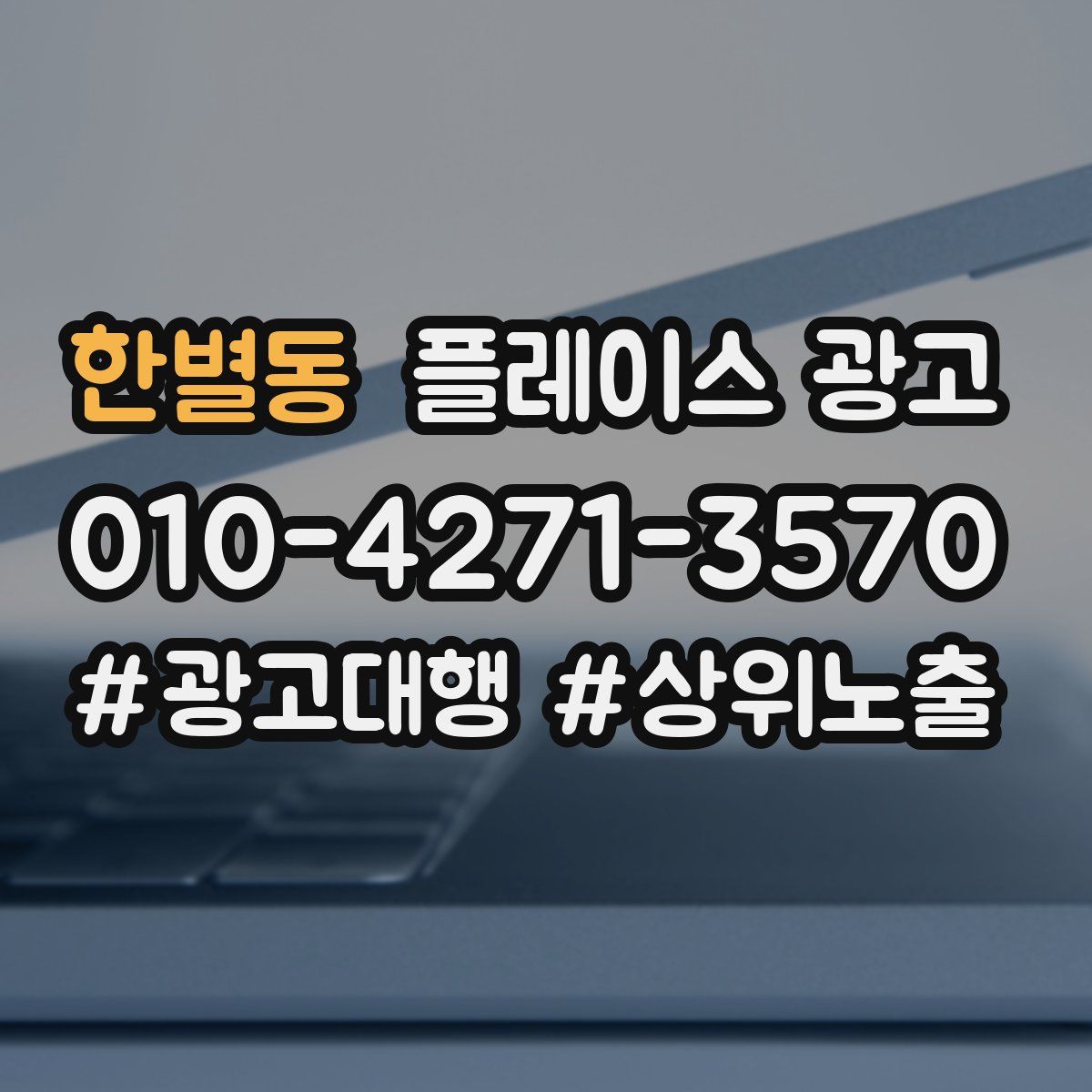 한별동 플레이스 광고