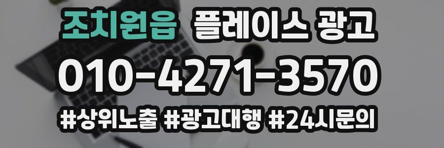 조치원읍 플레이스 광고