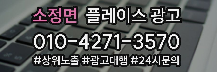 소정면 플레이스 광고