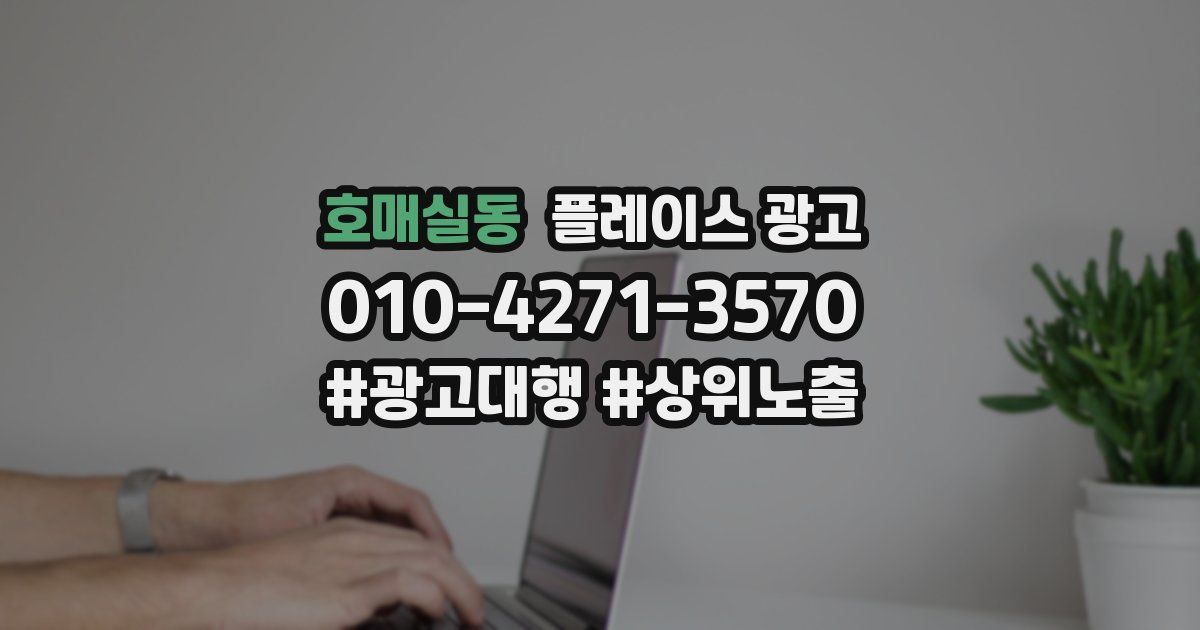 호매실동 플레이스 광고