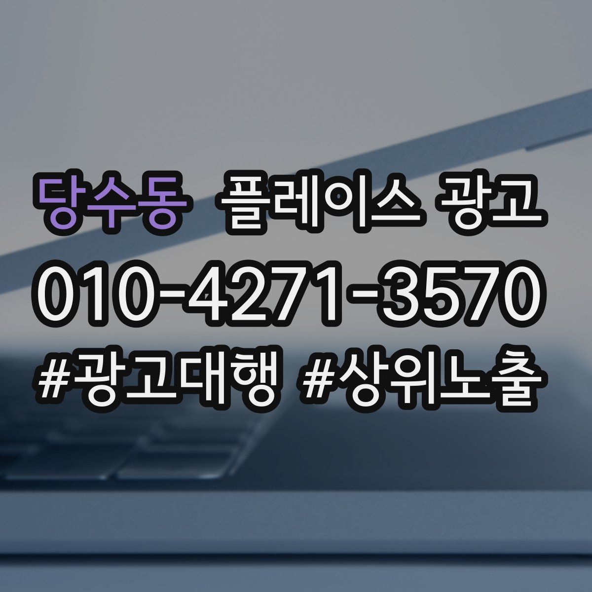 당수동 플레이스 광고