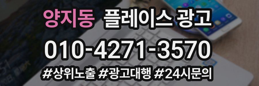 양지동 플레이스 광고